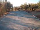 Reparació de camins malmesos pels aigüats al term 3