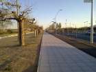 Urbanització del Passeig del Canal Marítim 3